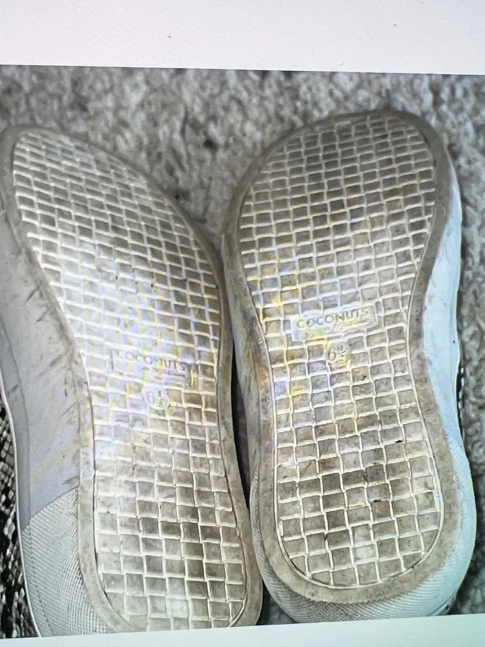 Snakeskin Slip on Espadrilles